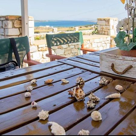 Villa Gregos House à Andíparos Extérieur photo