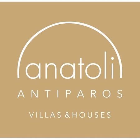 Villa Gregos House à Andíparos Extérieur photo