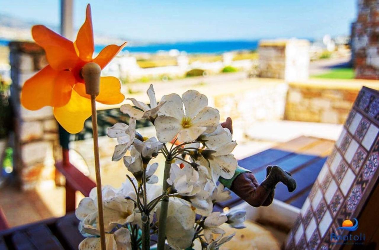 Villa Gregos House à Andíparos Extérieur photo