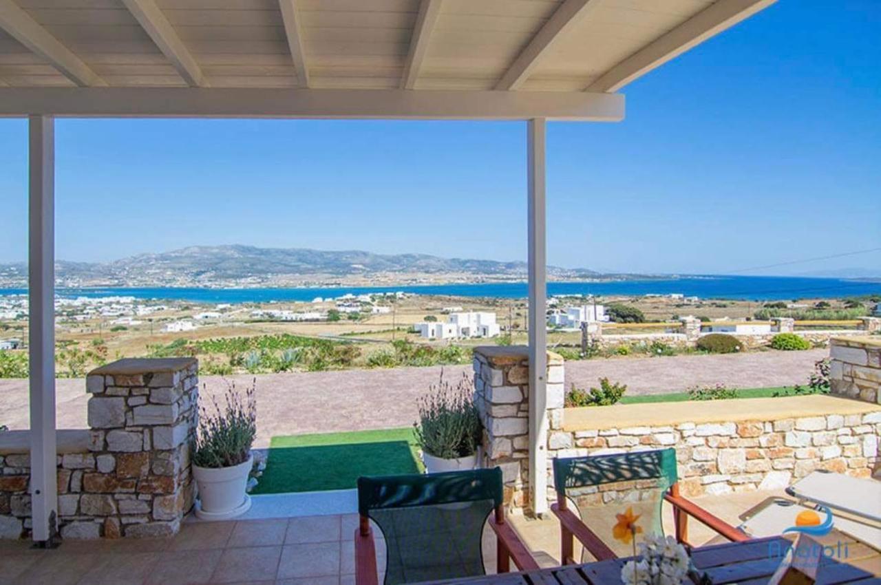 Villa Gregos House à Andíparos Extérieur photo