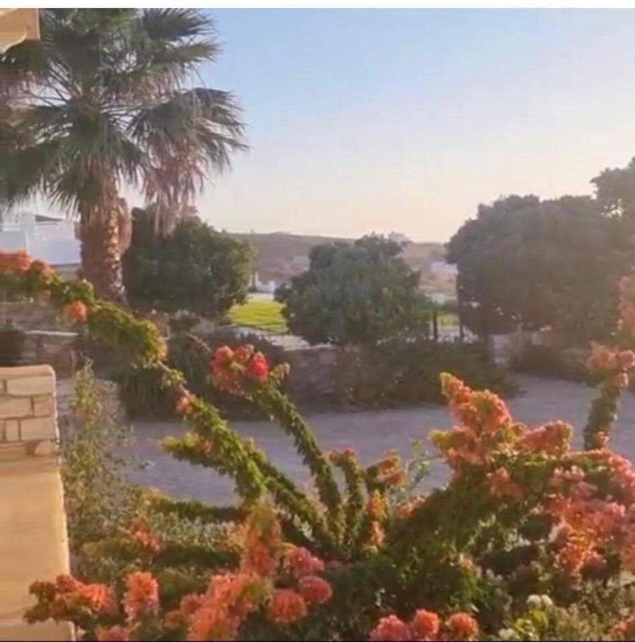 Villa Gregos House à Andíparos Extérieur photo